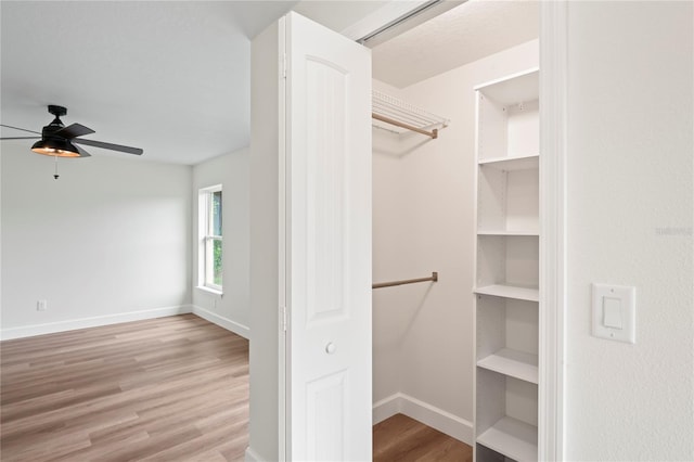 spacious closet with ceiling fan and light wood-type flooring