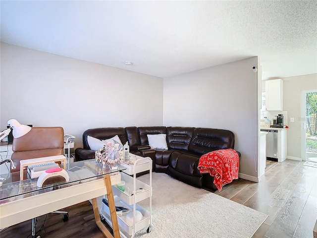 living room featuring hardwood / wood-style floors and a textured ceiling