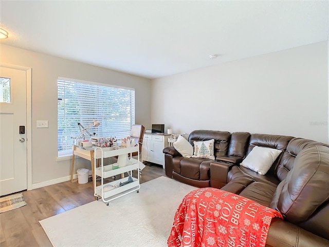 living room with hardwood / wood-style flooring