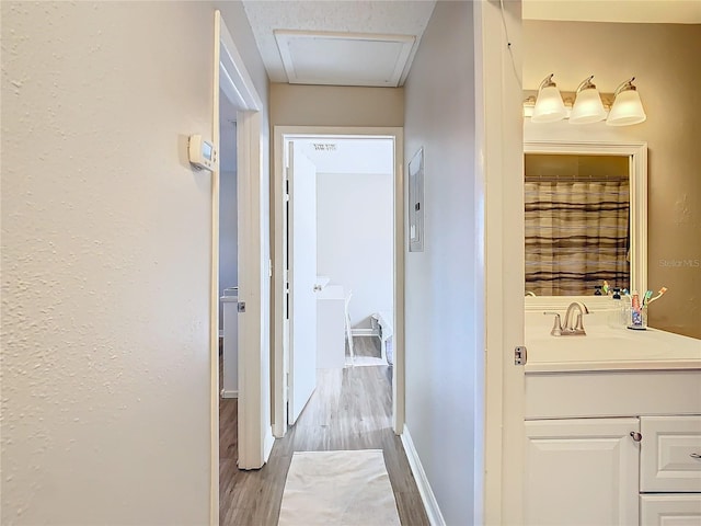 hallway with light hardwood / wood-style floors and sink