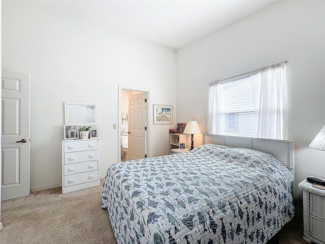 1203 Clays Trl Unit 406, Oldsmar, FL 34677 - bedroom with light colored carpet