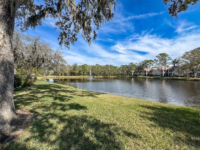 1203 Clays Trl Unit 406, Oldsmar, FL 34677 - view of water feature