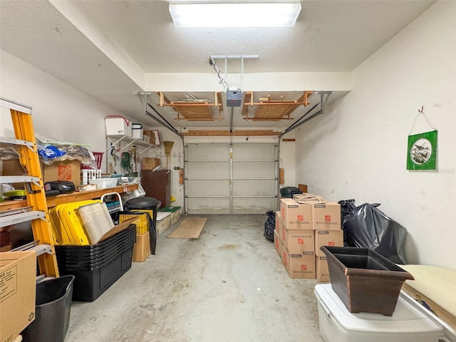 1203 Clays Trl Unit 406, Oldsmar, FL 34677 - garage with a garage door opener