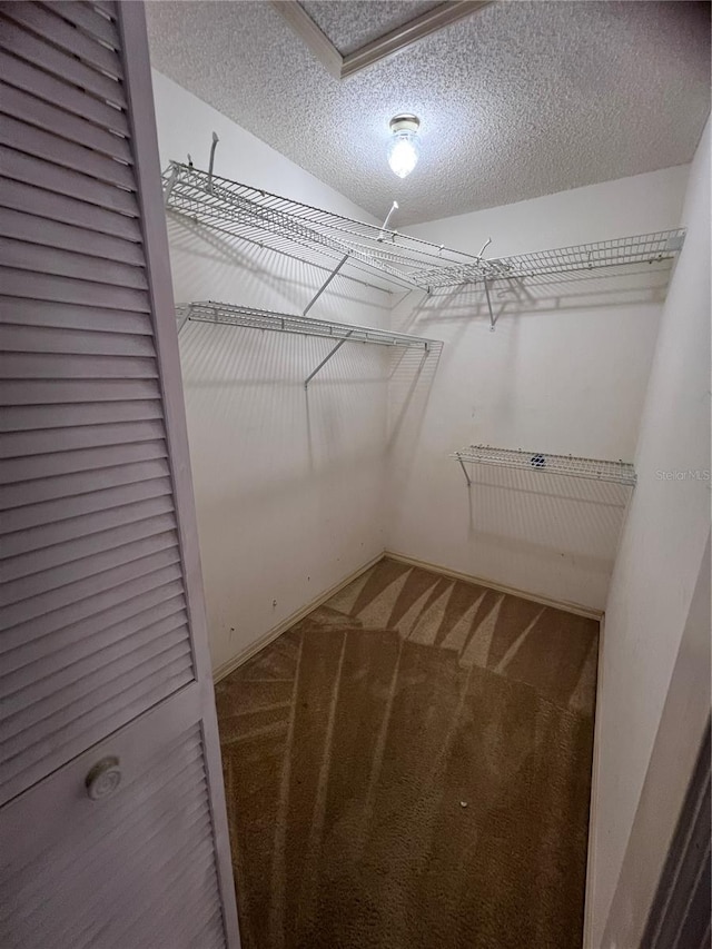 spacious closet featuring carpet floors