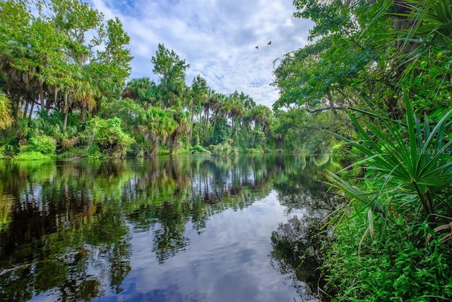 10118 Zennia Ln, Parrish, FL 34219 - water view with a heavily wooded area