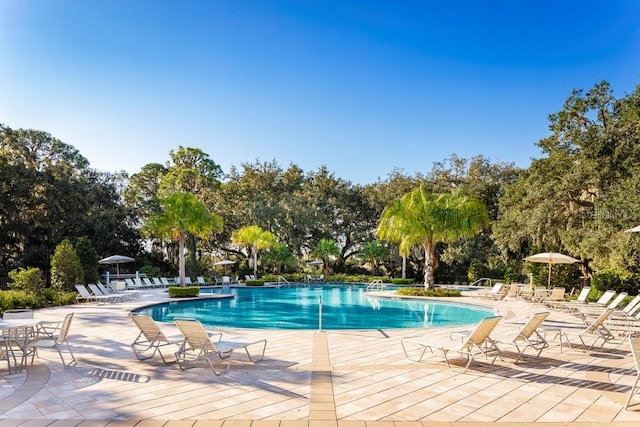 10118 Zennia Ln, Parrish, FL 34219 - community pool featuring a patio area and view of wooded area