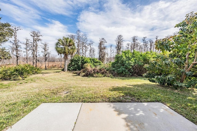 view of yard with a patio area