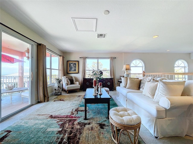 carpeted living room with a wealth of natural light