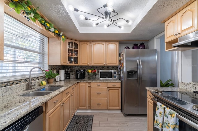 kitchen featuring sink, appliances with stainless steel finishes, a textured ceiling, a raised ceiling, and light brown cabinets