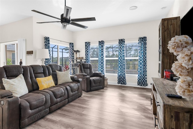 living room with ceiling fan and light wood-type flooring