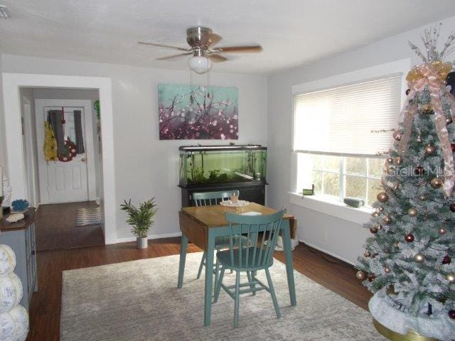 dining room featuring ceiling fan and dark hardwood / wood-style floors