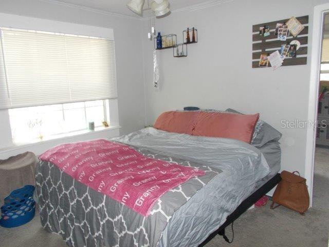 bedroom with carpet floors and ornamental molding