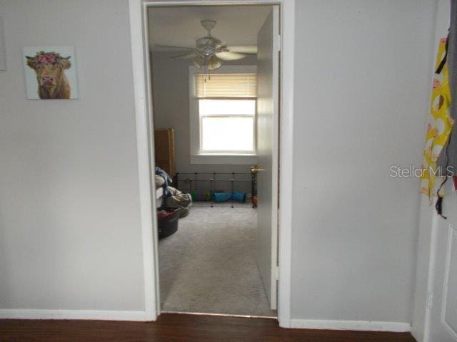 hallway featuring dark hardwood / wood-style flooring