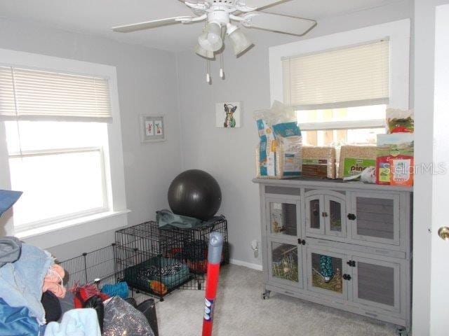 interior space featuring a wealth of natural light, light colored carpet, and ceiling fan