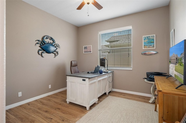 office with ceiling fan and light hardwood / wood-style flooring