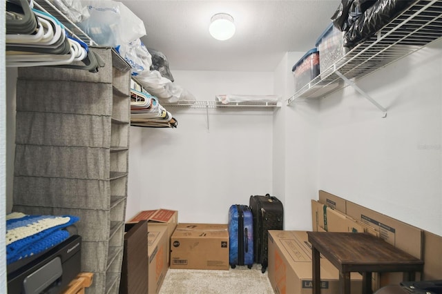 spacious closet featuring light carpet