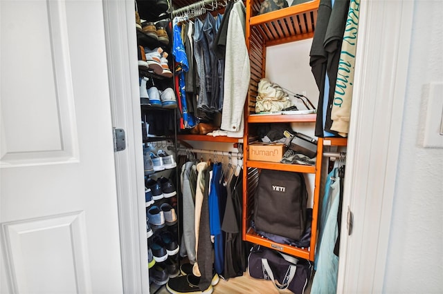 view of spacious closet