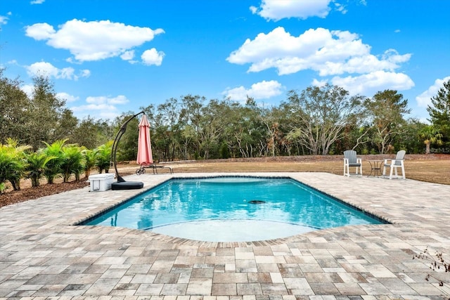 view of pool featuring a patio