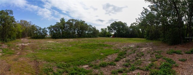 10030 Orchard Way, Spring Hill, FL 34608 - view of local wilderness