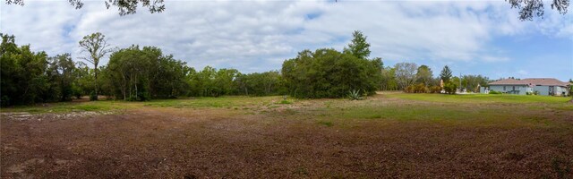 10030 Orchard Way, Spring Hill, FL 34608 - view of yard