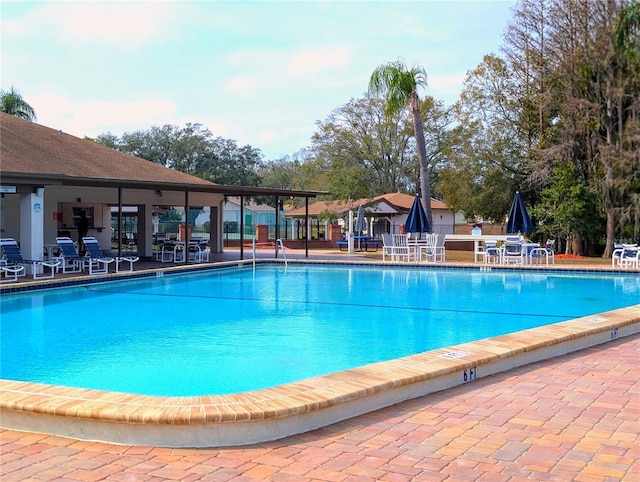 view of pool featuring a patio area