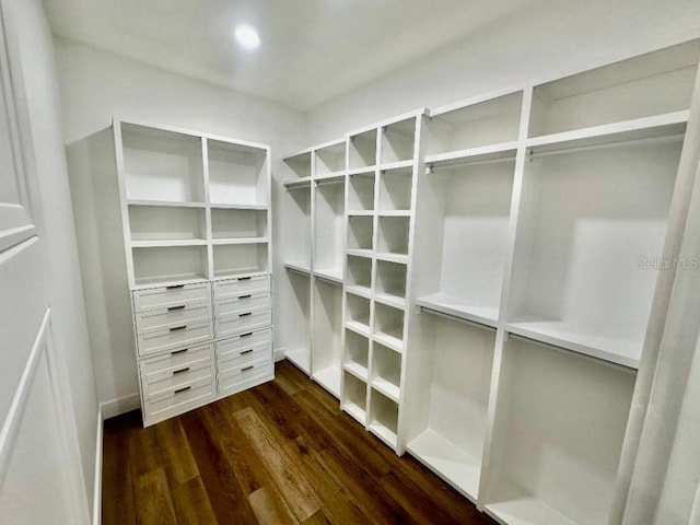 spacious closet featuring dark hardwood / wood-style floors