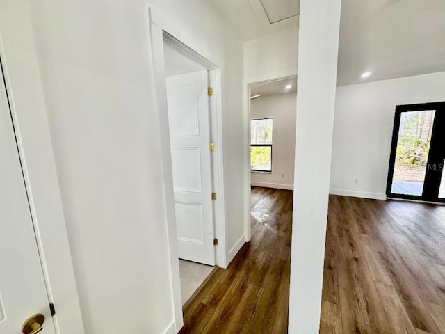 corridor featuring dark hardwood / wood-style floors