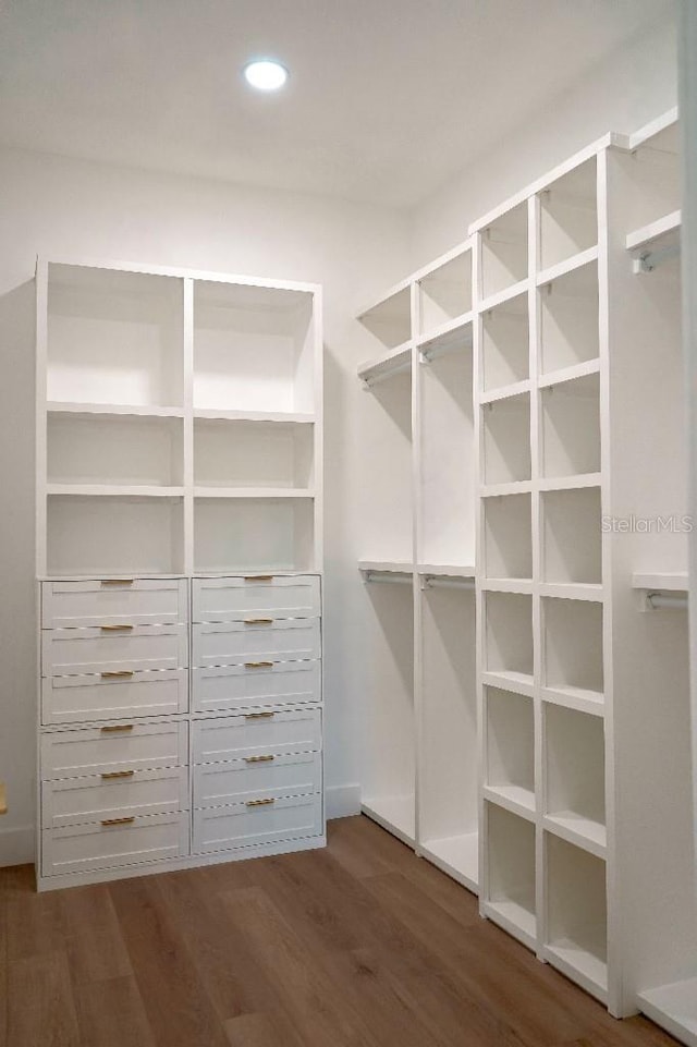 walk in closet featuring dark wood-style flooring