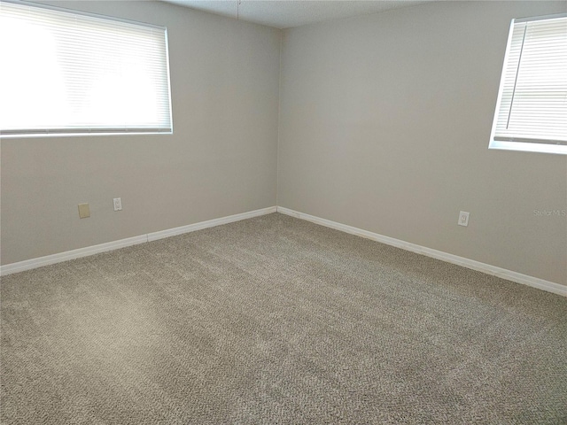 spare room featuring carpet floors