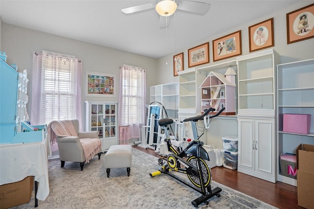 exercise area featuring hardwood / wood-style floors and ceiling fan