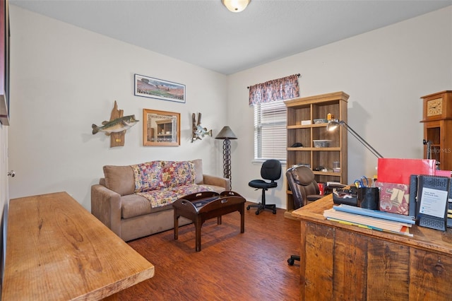 home office featuring dark hardwood / wood-style floors