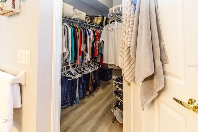 spacious closet with hardwood / wood-style floors