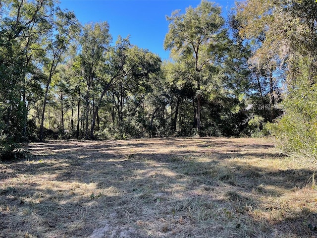 0 SW 139th Ter, Ocala FL, 34481 land for sale