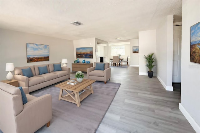 living room featuring wood-type flooring