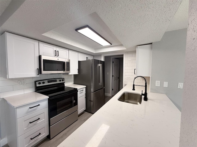 kitchen with sink, a tray ceiling, stainless steel appliances, and white cabinets