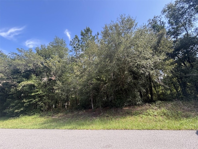 1661 W Datura Ln, Citrus Springs, FL 34434