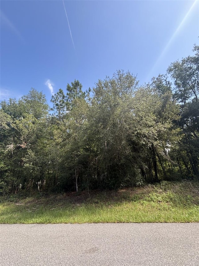 1661 W Datura Ln, Citrus Springs, FL 34434