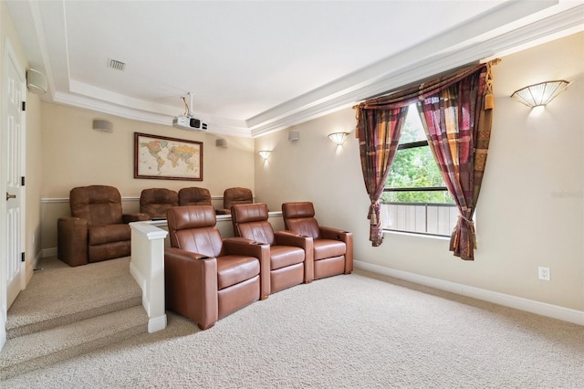20200 Lace Cascade Rd, Land O Lakes, FL 34637 - home theater featuring carpet, a raised ceiling, and baseboards