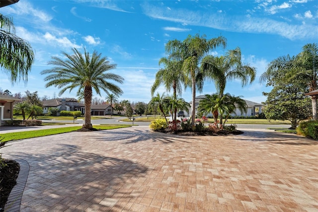 20200 Lace Cascade Rd, Land O Lakes, FL 34637 - view of home's community featuring curved driveway and a residential view
