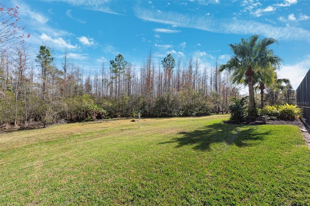 20200 Lace Cascade Rd, Land O Lakes, FL 34637 - view of green lawn