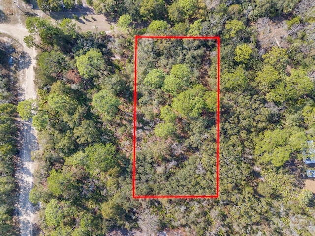 419 N Vesper Pt, Crystal River FL, 34429 land for sale