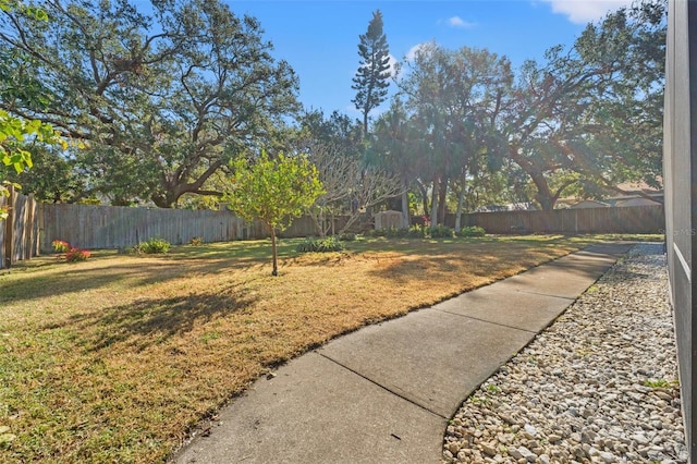 view of yard