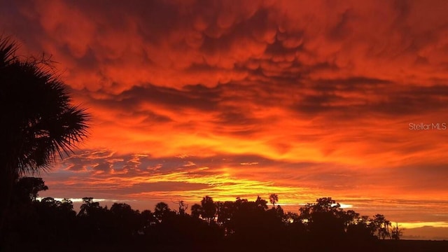 view of nature at dusk