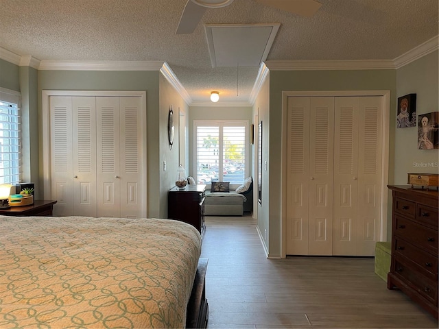 bedroom with crown molding and multiple closets