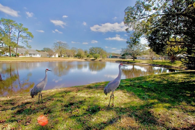 property view of water