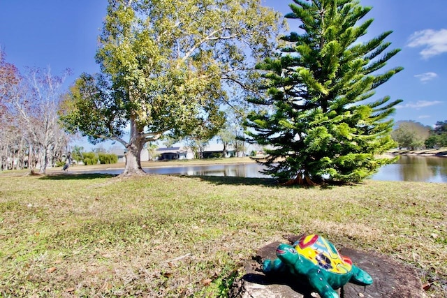 view of yard with a water view