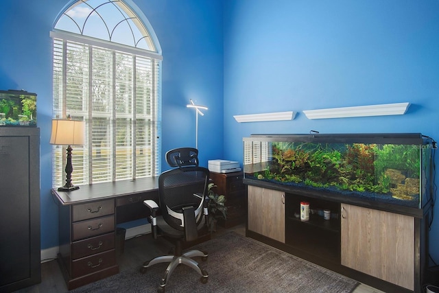 home office with dark hardwood / wood-style floors