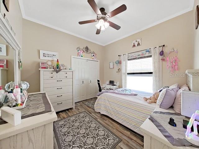 bedroom with ornamental molding, ceiling fan, light hardwood / wood-style floors, and a closet