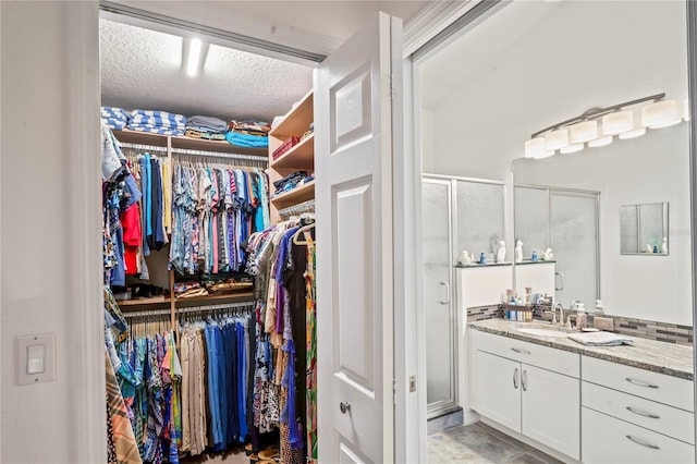 walk in closet with sink