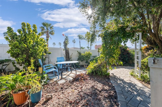 view of yard featuring a patio area